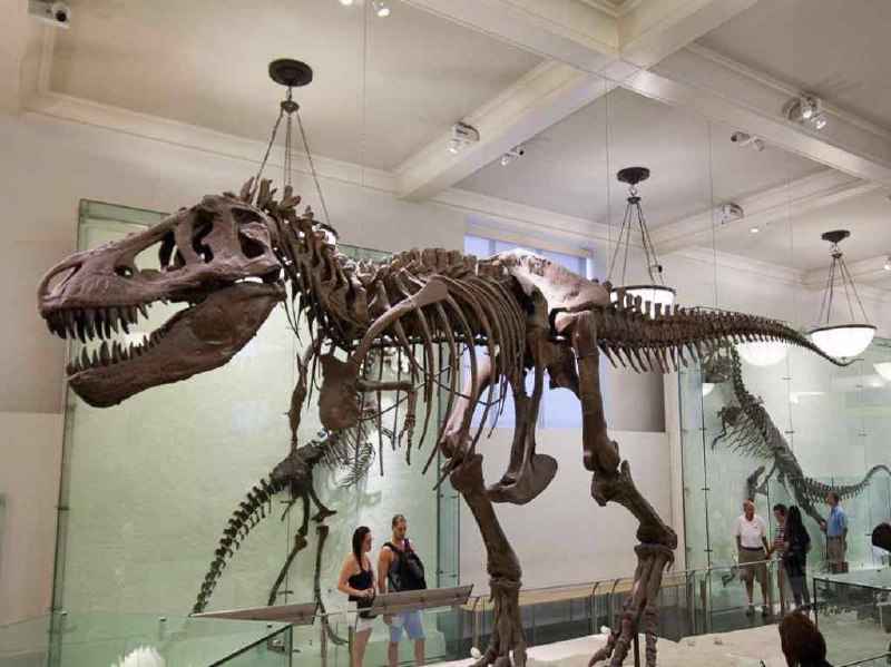 Charla Jurassic Park en Chapultepec: la ciencia detrás del mito