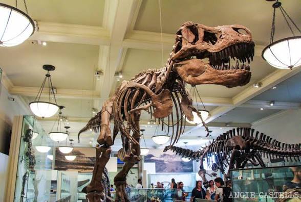 Charla Jurassic Park en Chapultepec: la ciencia detrás del mito
